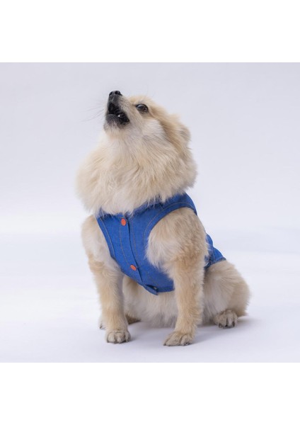 Denim Look Kedi Köpek Gömleği
