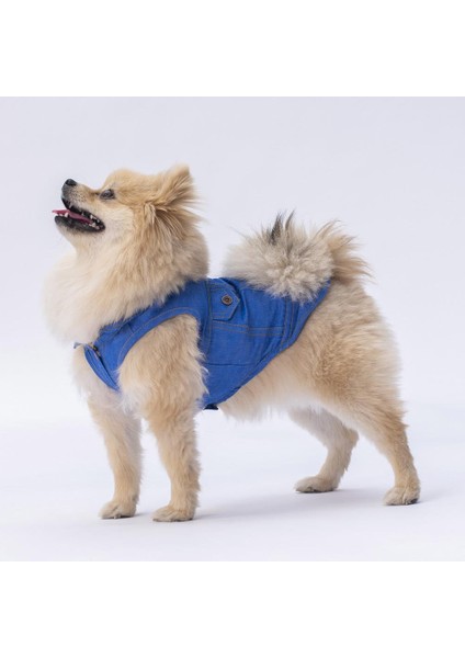 Denim Look Kedi Köpek Gömleği