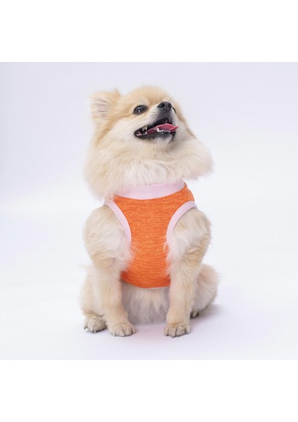 Turuncu Joy Kedi Köpek Tişörtü fiyatları