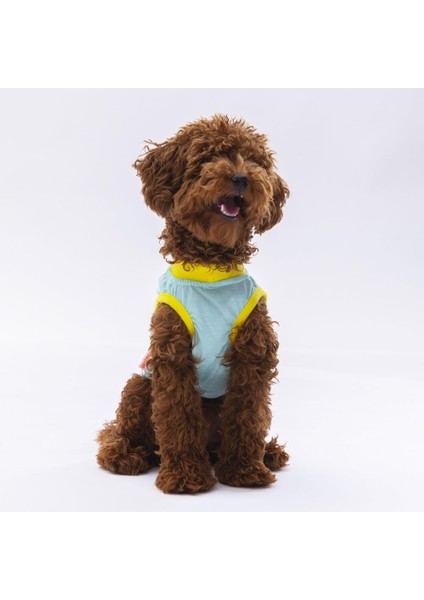 Mint Sunrise Kedi Köpek Tişörtü fiyatları