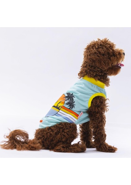 Mint Sunrise Kedi Köpek Tişörtü modelleri