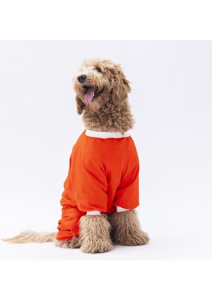 Turuncu Giraffe Orta ve Büyük Irk Köpek Pijaması 15 kg - 45 kg