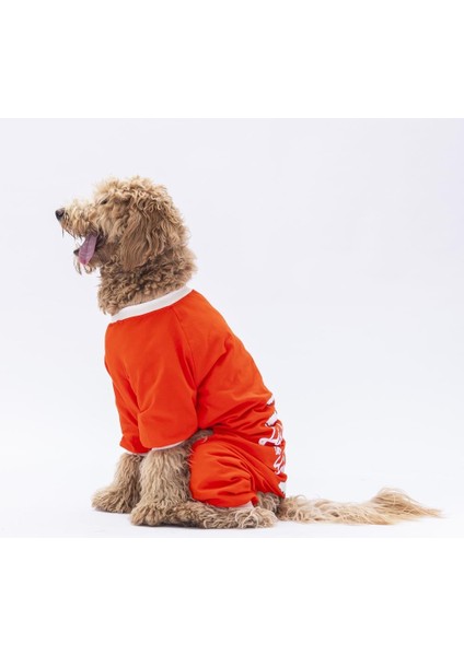 Turuncu Giraffe Orta ve Büyük Irk Köpek Pijaması 15 kg - 45 kg