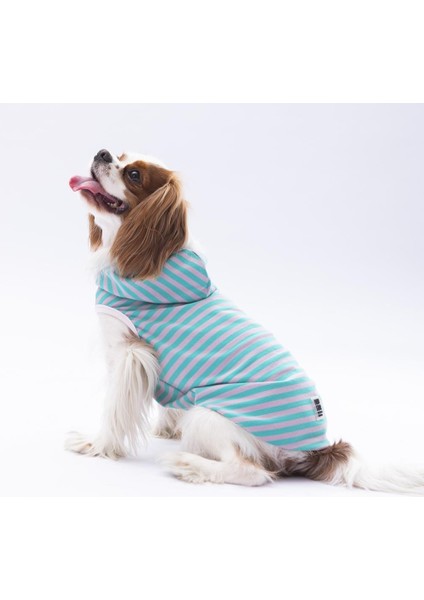 Aqua Sunny Kapşonlu Kedi Köpek Tişörtü fiyatları