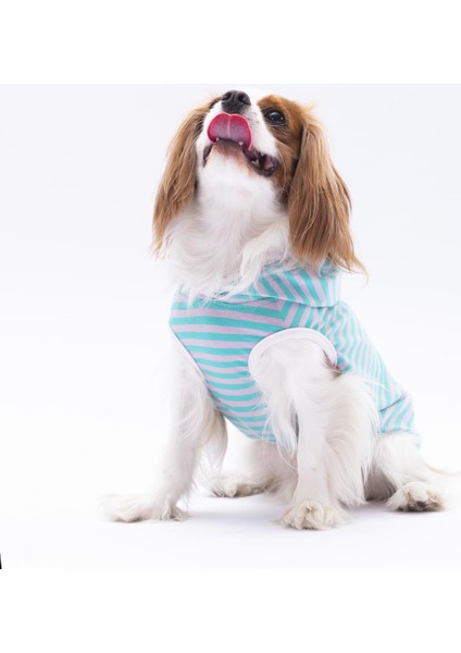 Aqua Sunny Kapşonlu Kedi Köpek Tişörtü modelleri