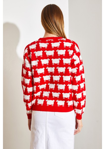 Kadın Koyun Desenli Triko Kazak fiyatları