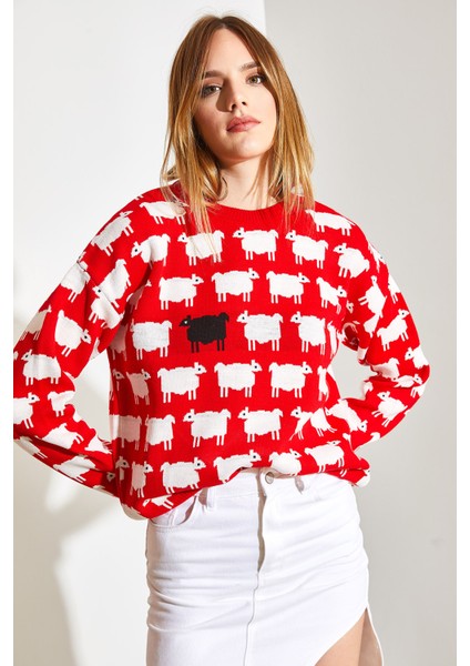 Kadın Koyun Desenli Triko Kazak fırsatları