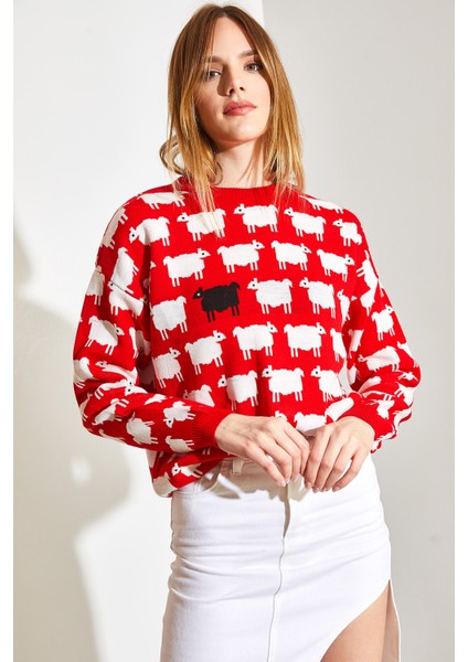 Kadın Koyun Desenli Triko Kazak indirimleri