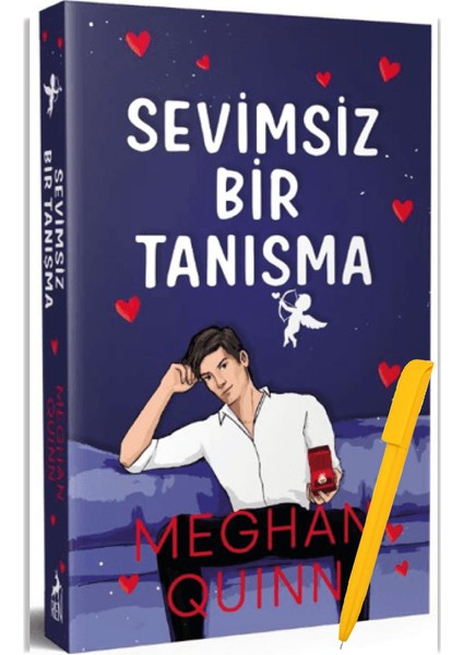 Sevimsiz Bir Tanışma - Meghan Quinn