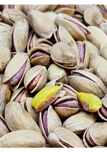 Antep Fıstığı (Ana Çıtlak)