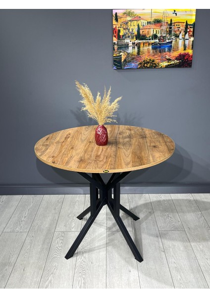 Sedef Yuvarlak Mutfak Masası Yemek Masası Balkon Masası Metal Siyah Ayak 100 cm fiyatları