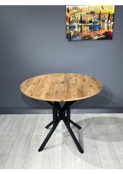 Sedef Yuvarlak Mutfak Masası Yemek Masası Balkon Masası Metal Siyah Ayak 100 cm modelleri