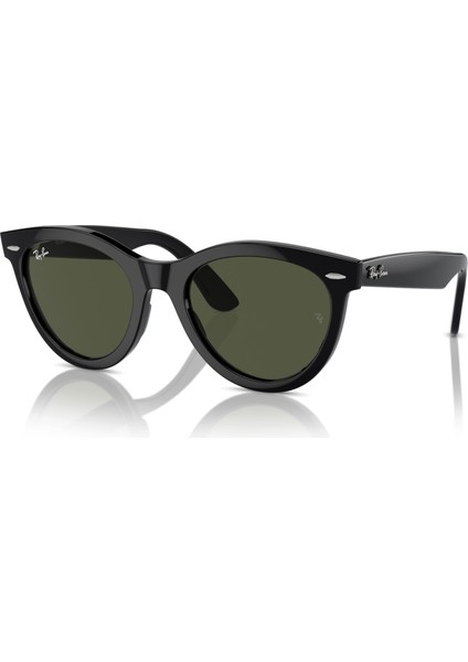 2241 901/31 54 Unisex Güneş Gözlüğü Unisex Güneş Gözlüğü