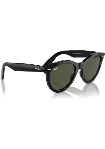 2241 901/31 54 Unisex Güneş Gözlüğü Unisex Güneş Gözlüğü