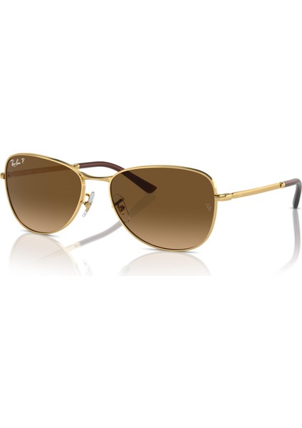 3733 001/M2 56 Unisex Güneş Gözlüğü Unisex Güneş Gözlüğü