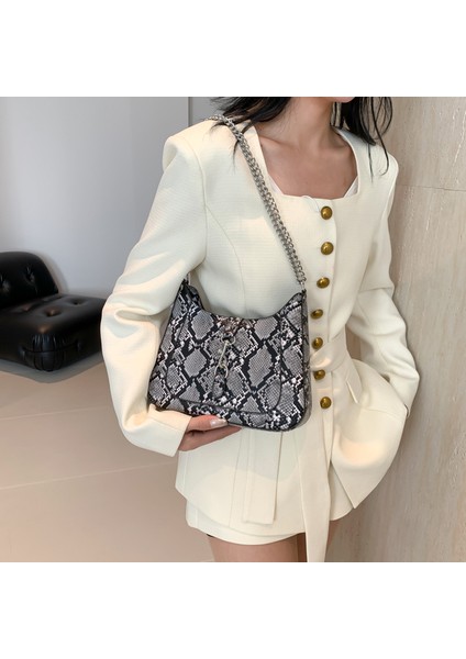 Sınır Ötesi Doku Zincir Çanta 2024 Bahar Yeni Kadın Çantası Kişiselleştirilmiş Yılan Deseni Omuz Çantası Retro Kontrast Crossbody Çanta Moda (Yurt Dışından)