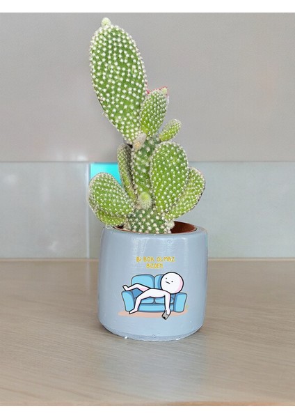 Olmaz Bizden Temalı Özel El Yapımı Hediye Saksımodel 99