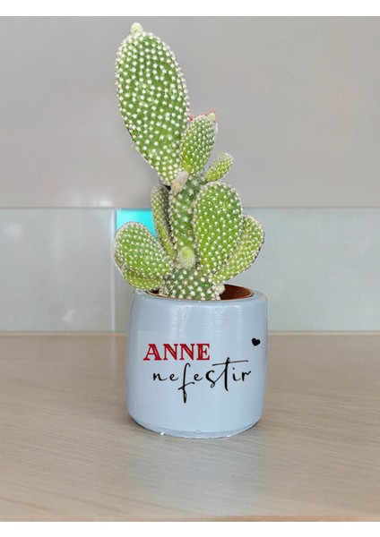 Anne Nefestir Temalı Anneler Günü Anneye ve Eşe Özel El Yapımı Hediye Saksı Model 12