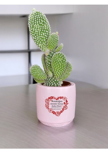 Anneler Günü Temalı Anneler Günü Anneye ve Eşe Özel El Yapımı Hediye Saksı