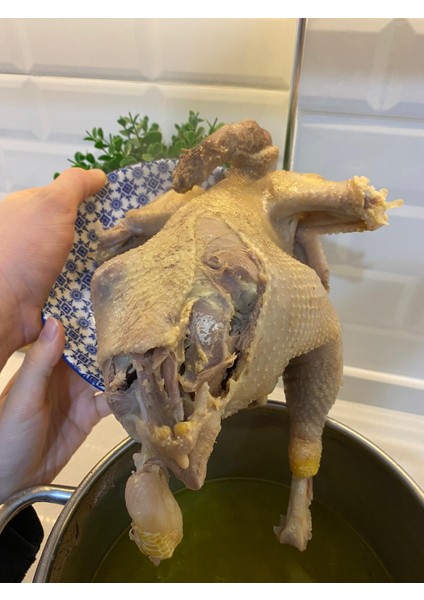 Köy Tavuğu (Serbest Gezen) ( adet ağırlığı 1300-1600 gr.) indirimleri