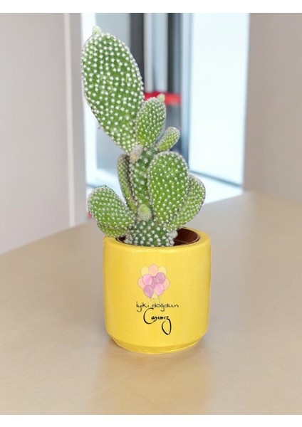 Iyi Ki Doğdun Canımız Temalı Doğum Günü Anneye ve Eşe ve Arkadaşa Özel Yapım Hediye Saksı