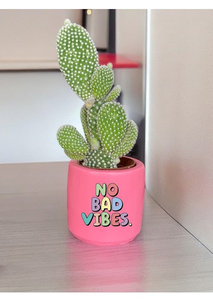 No Bad Vibes Temalı Özel El Yapımı Hediye Saksı Model 121