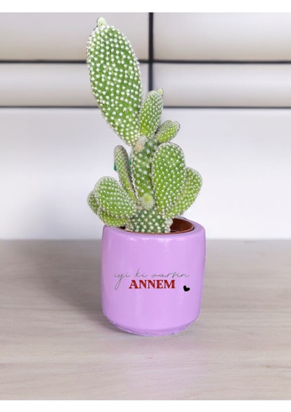 Iyi Ki Varsın Annem Temalı Anneler Günü Anneye ve Eşe Özel Yapım Hediye Saksı