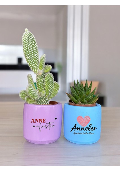 Anneler Günü Anneye ve Eşe Özel El Yapımı Hediye Saksı Model 2