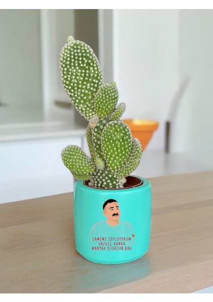 Manyak Olursun Temalı Özel El Yapımı Hediye Saksı Model 97