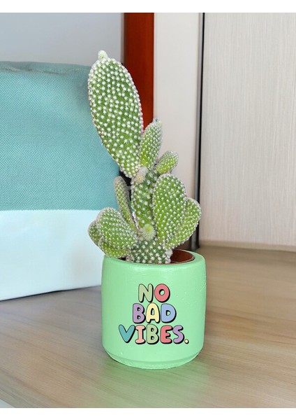 No Bad Vibes Temalı Özel El Yapımı Hediye Saksı Model 124