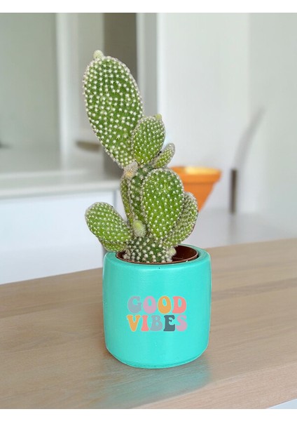 Good Vibes Temalı Özel El Yapımı Hediye Saksı Model 118