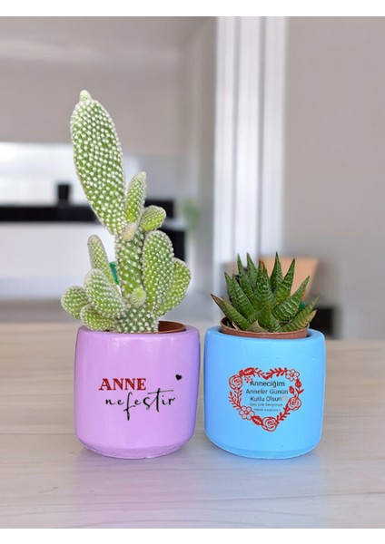 Anneler Günü Anneye ve Eşe Özel El Yapımı Hediye Saksı Model 3