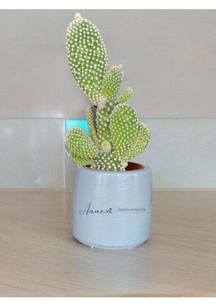 Annem Benim Cennetim Temalı Anneler Günü Anneye ve Eşe Özel Yapım Hediye Saksı