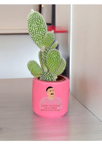 Manyak Olursun Temalı Özel El Yapımı Hediye Saksı Model 93