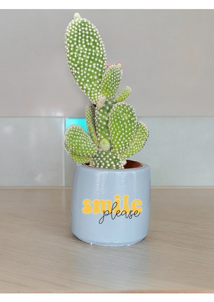 Smile Please Temalı Özel El Yapımı Hediye Saksı Model 127