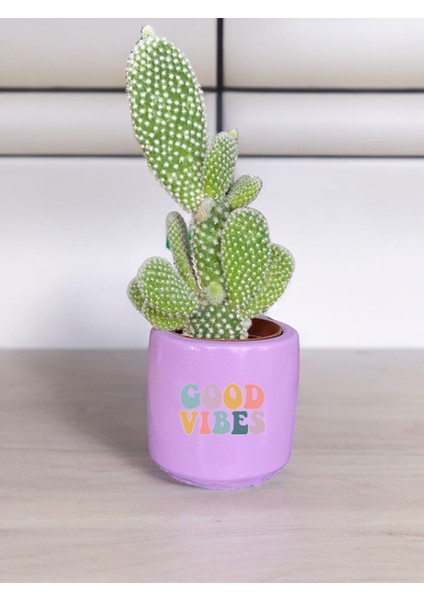 Good Vibes Temalı Özel El Yapımı Hediye Saksı Model 112