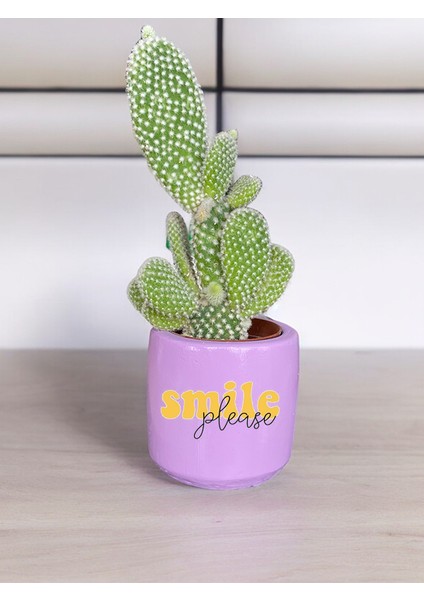 Smile Please Temalı Özel El Yapımı Hediye Saksı Model 126