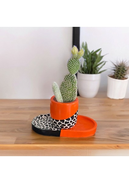 Benekli Özel El Yapımı Boyama Hediye Saksı Model 138