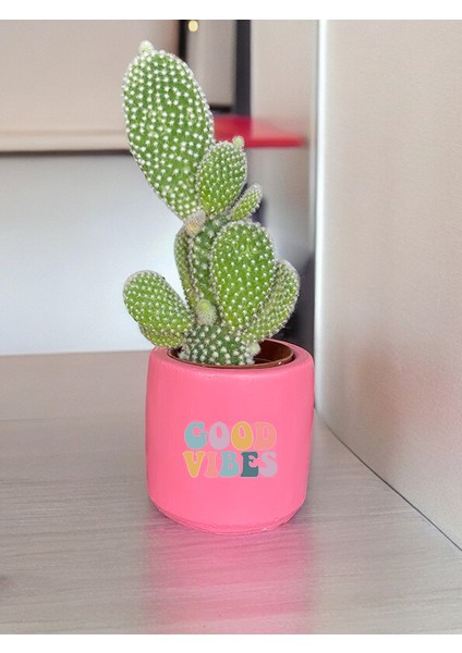 Good Vibes Temalı Özel El Yapımı Hediye Saksı Model 114