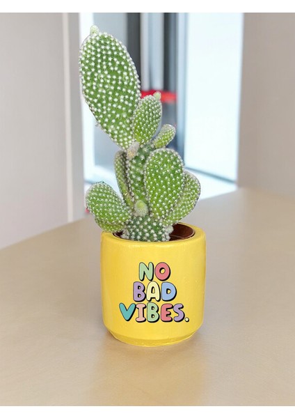 No Bad Vibes Temalı Özel El Yapımı Hediye Saksı Model 122
