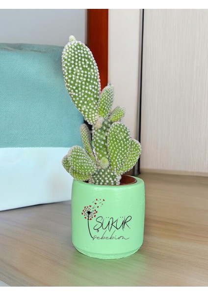 Şükür Sebebim Temalı Anneler Günü Anneye ve Eşe Özel Yapım Hediye Saksı