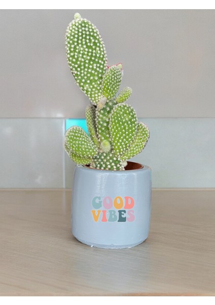 Good Vibes Temalı Özel El Yapımı Hediye Saksı Model 113