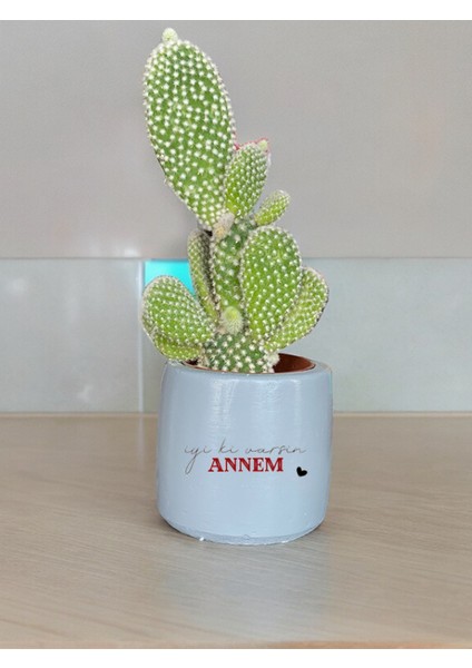 Iyi Ki Varsın Annem Temalı Anneler Günü Anneye ve Eşe Özel Yapım Hediye Saksı
