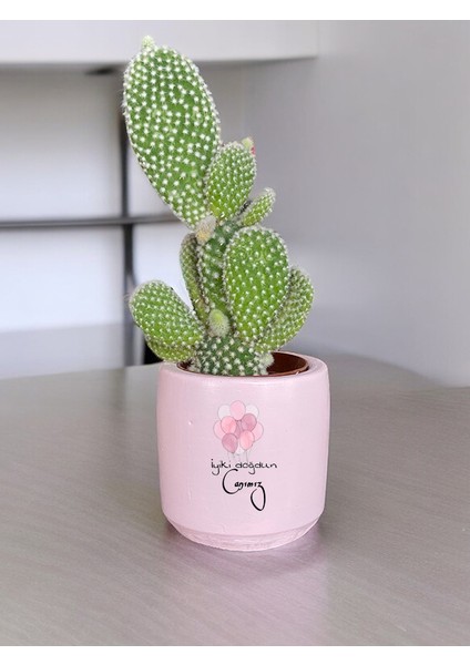 Iyi Ki Doğdun Canımız Temalı Doğum Günü Anneye ve Eşe ve Arkadaşa Özel Yapım Hediye Saksı