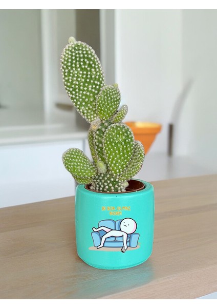 Olmaz Bizden Temalı Özel El Yapımı Hediye Saksımodel 104