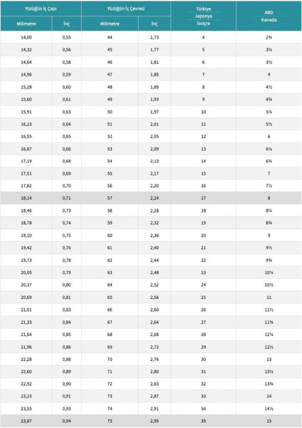 Nazik Endam Nazikendam Özel Seri - Rodyum Kaplama Kalemli 5 Sıra Turkuaz Zirkon Taşlı Tamtur Yüzük - Kadın - 4.64 Gram