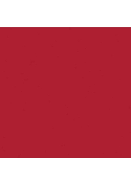 Professional Akrilik Sprey Boya 400 ml Cadmium Red Deep Hue 311 S1