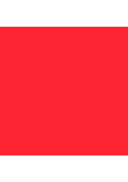 Professional Akrilik Markör Ince Uç 2 mm Quinacridone Crimson 110 fiyatları