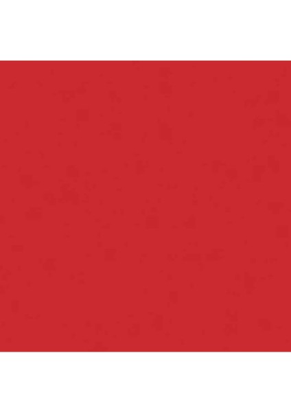 Professional Akrilik Sprey Boya 400 ml Cadmium Red Medium Hue 5