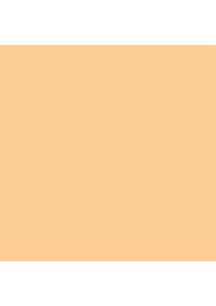 Professional Akrilik Sprey Boya 400 ml Cadmium Orange Hue 6 fiyatları